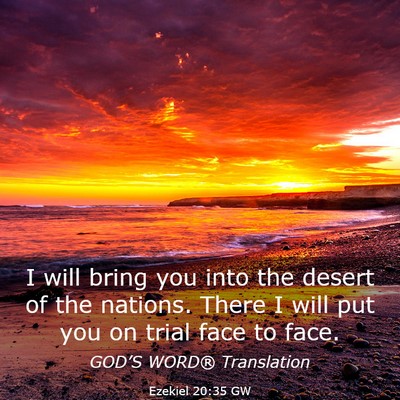 Picture 03 - Ezekiel 20:35 GW - I will bring you into the desert of the nations. - Bible Verse Picture
