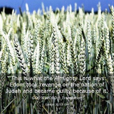 Picture 03 - Ezekiel 25:12 GW - “‘This is what the Almighty Lord says: Edom - Bible Verse Picture