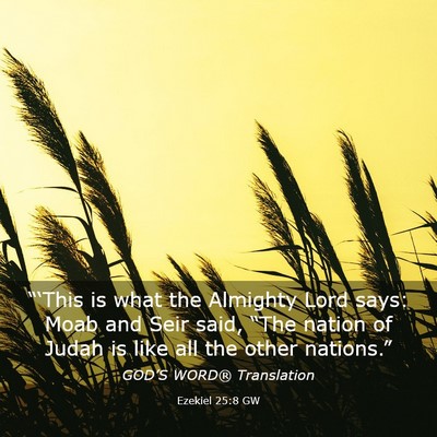 Picture 03 - Ezekiel 25:8 GW - “‘This is what the Almighty Lord says: Moab - Bible Verse Picture