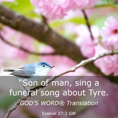 Picture 03 - Ezekiel 27:2 GW - “Son of man, sing a funeral song about - Bible Verse Picture