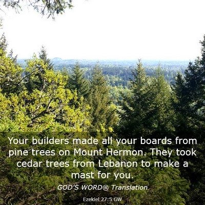 Picture 03 - Ezekiel 27:5 GW - Your builders made all your boards from pine - Bible Verse Picture