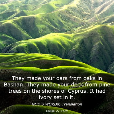 Picture 03 - Ezekiel 27:6 GW - They made your oars from oaks in Bashan. They - Bible Verse Picture