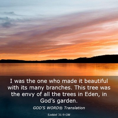 Picture 03 - Ezekiel 31:9 GW - I was the one who made it beautiful with its many - Bible Verse Picture