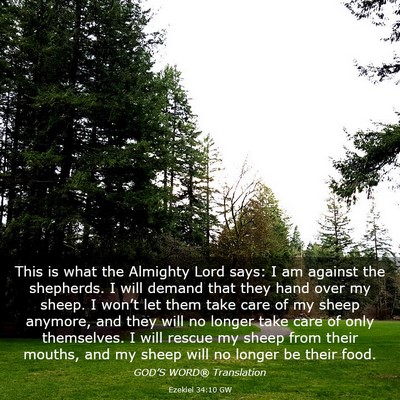 Picture 03 - Ezekiel 34:10 GW - This is what the Almighty Lord says: I am against - Bible Verse Picture