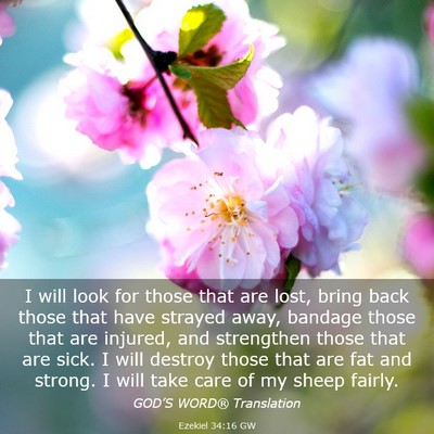 Picture 03 - Ezekiel 34:16 GW - I will look for those that are lost, bring back - Bible Verse Picture