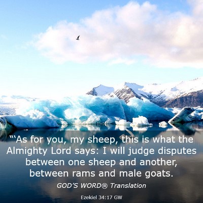 Picture 03 - Ezekiel 34:17 GW - “‘As for you, my sheep, this is what the - Bible Verse Picture
