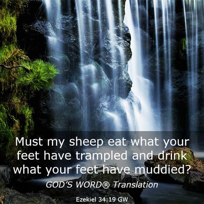 Picture 03 - Ezekiel 34:19 GW - Must my sheep eat what your feet have trampled - Bible Verse Picture
