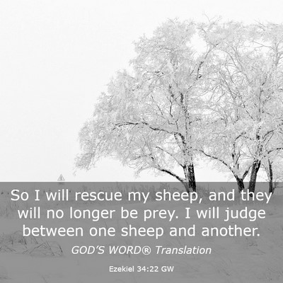 Picture 03 - Ezekiel 34:22 GW - So I will rescue my sheep, and they will no - Bible Verse Picture
