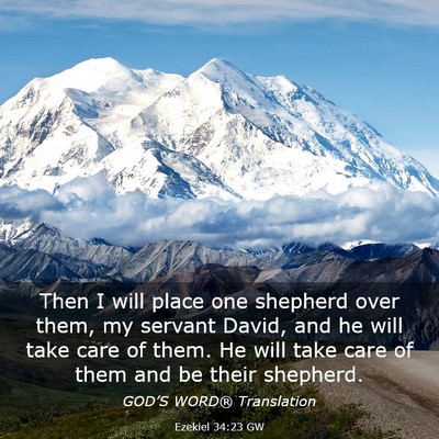 Picture 03 - Ezekiel 34:23 GW - Then I will place one shepherd over them, my - Bible Verse Picture