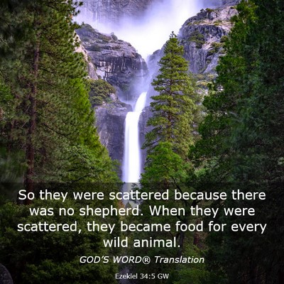 Picture 03 - Ezekiel 34:5 GW - So they were scattered because there was no - Bible Verse Picture