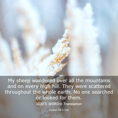 Picture 03 - Ezekiel 34:6 GW - My sheep wandered over all the mountains and on - Bible Verse Picture