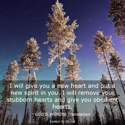Picture 03 - Ezekiel 36:26 GW - I will give you a new heart and put a new spirit - Bible Verse Picture