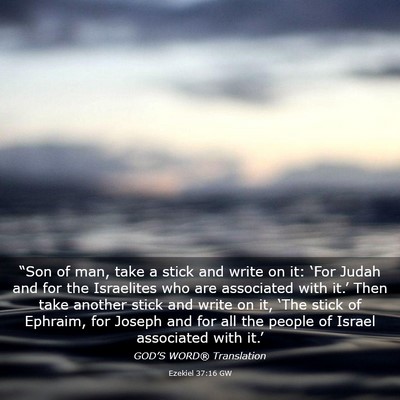 Picture 03 - Ezekiel 37:16 GW - “Son of man, take a stick and write on it: - Bible Verse Picture