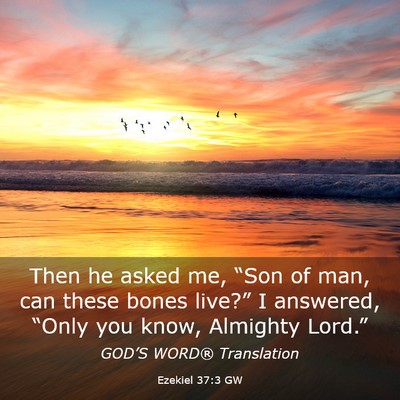 Picture 03 - Ezekiel 37:3 GW - Then he asked me, “Son of man, can these bones - Bible Verse Picture