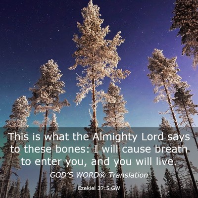 Picture 03 - Ezekiel 37:5 GW - This is what the Almighty Lord says to these - Bible Verse Picture