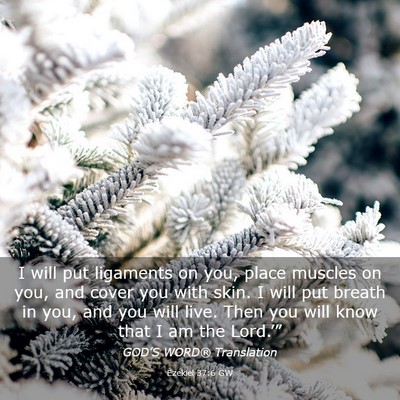 Picture 03 - Ezekiel 37:6 GW - I will put ligaments on you, place muscles on - Bible Verse Picture