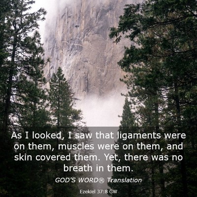 Picture 03 - Ezekiel 37:8 GW - As I looked, I saw that ligaments were on them, - Bible Verse Picture