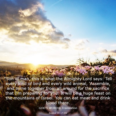 Picture 03 - Ezekiel 39:17 GW - “Son of man, this is what the Almighty Lord - Bible Verse Picture