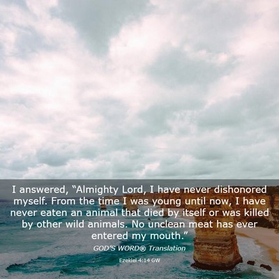 Picture 03 - Ezekiel 4:14 GW - I answered, “Almighty Lord, I have never - Bible Verse Picture