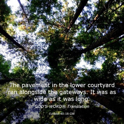 Picture 03 - Ezekiel 40:18 GW - The pavement in the lower courtyard ran alongside - Bible Verse Picture