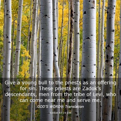 Picture 03 - Ezekiel 43:19 GW - Give a young bull to the priests as an offering - Bible Verse Picture