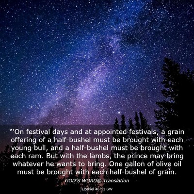 Picture 03 - Ezekiel 46:11 GW - “‘On festival days and at appointed - Bible Verse Picture