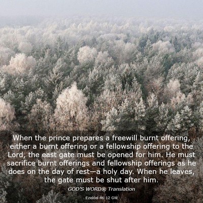 Picture 03 - Ezekiel 46:12 GW - When the prince prepares a freewill burnt - Bible Verse Picture