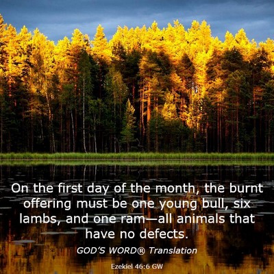 Picture 03 - Ezekiel 46:6 GW - On the first day of the month, the burnt offering - Bible Verse Picture
