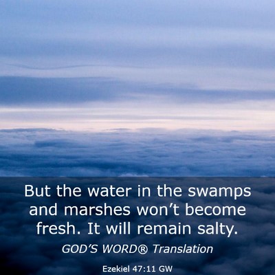 Picture 03 - Ezekiel 47:11 GW - But the water in the swamps and marshes won’t - Bible Verse Picture