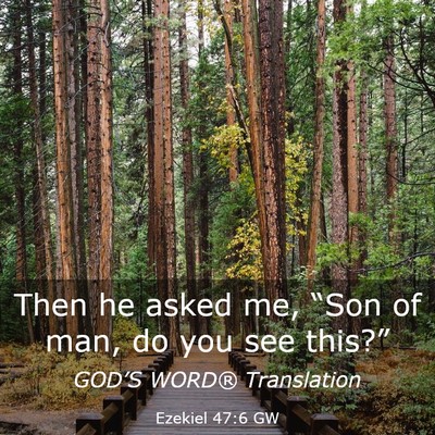 Picture 03 - Ezekiel 47:6 GW - Then he asked me, “Son of man, do you see - Bible Verse Picture