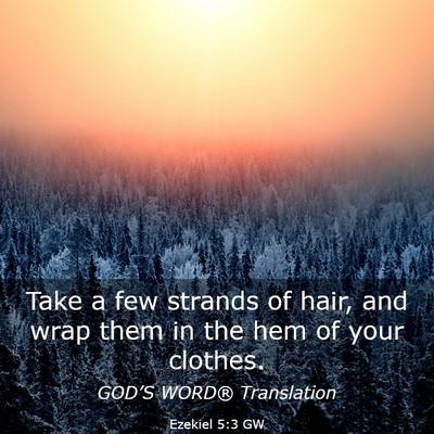 Picture 03 - Ezekiel 5:3 GW - Take a few strands of hair, and wrap them in the - Bible Verse Picture