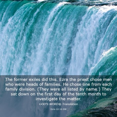 Picture 03 - Ezra 10:16 GW - The former exiles did this. Ezra the priest chose - Bible Verse Picture