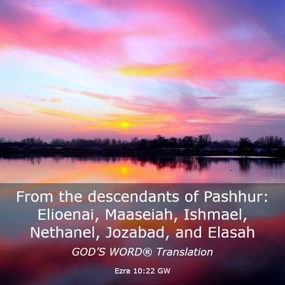 Picture 03 - Ezra 10:22 GW - From the descendants of Pashhur: Elioenai, - Bible Verse Picture