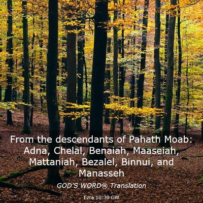 Picture 03 - Ezra 10:30 GW - From the descendants of Pahath Moab: Adna, - Bible Verse Picture