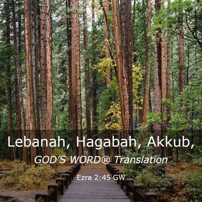 Picture 03 - Ezra 2:45 GW - Lebanah, Hagabah, - Bible Verse Picture