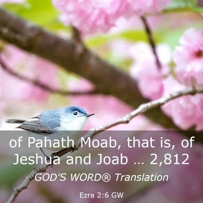 Picture 03 - Ezra 2:6 GW - of Pahath Moab, that is, of Jeshua and Joab … - Bible Verse Picture