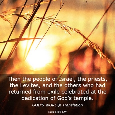Picture 03 - Ezra 6:16 GW - Then the people of Israel, the priests, the - Bible Verse Picture