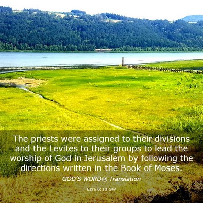 Picture 03 - Ezra 6:18 GW - The priests were assigned to their divisions and - Bible Verse Picture