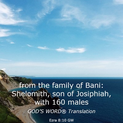Picture 03 - Ezra 8:10 GW - from the family of Bani: Shelomith, son of - Bible Verse Picture