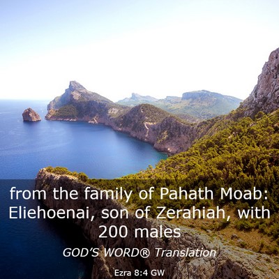 Picture 03 - Ezra 8:4 GW - from the family of Pahath Moab: Eliehoenai, son - Bible Verse Picture