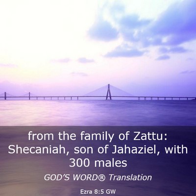 Picture 03 - Ezra 8:5 GW - from the family of Zattu: Shecaniah, son of - Bible Verse Picture