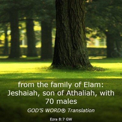 Picture 03 - Ezra 8:7 GW - from the family of Elam: Jeshaiah, son of - Bible Verse Picture