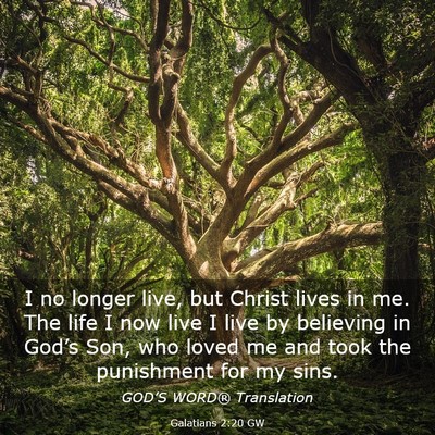 Picture 03 - Galatians 2:20 GW - I no longer live, but Christ lives in me. The - Bible Verse Picture