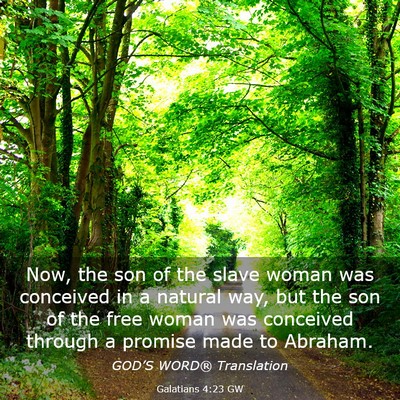 Picture 03 - Galatians 4:23 GW - Now, the son of the slave woman was conceived in - Bible Verse Picture