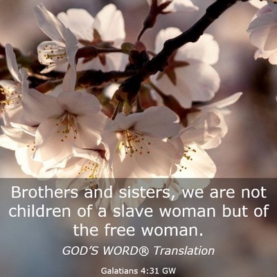 Picture 03 - Galatians 4:31 GW - Brothers and sisters, we are not children of a - Bible Verse Picture