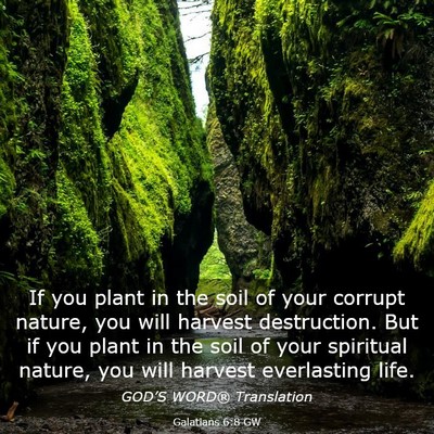 Picture 03 - Galatians 6:8 GW - If you plant in the soil of your corrupt nature, - Bible Verse Picture