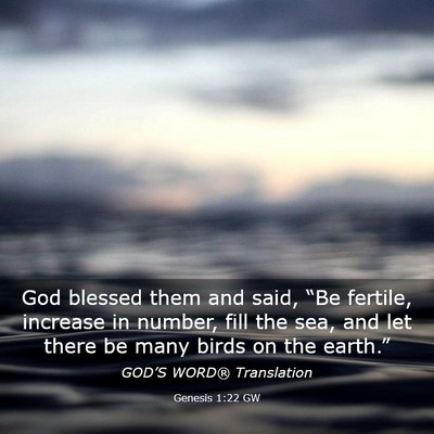 Picture 03 - Genesis 1:22 GW - God blessed them and said, “Be fertile, - Bible Verse Picture