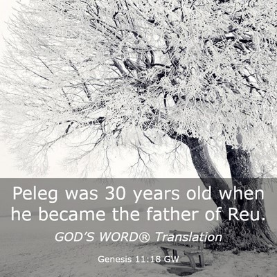 Picture 03 - Genesis 11:18 GW - Peleg was 30 years old when he became the father - Bible Verse Picture