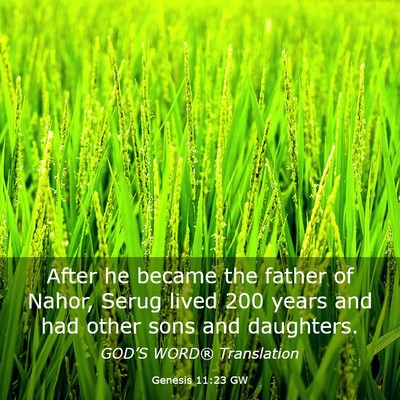 Picture 03 - Genesis 11:23 GW - After he became the father of Nahor, Serug lived - Bible Verse Picture