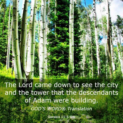 Picture 03 - Genesis 11:5 GW - The Lord came down to see the city and the tower - Bible Verse Picture